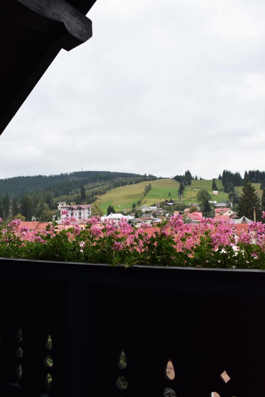 Vila Seva Vatra Dornei Buitenkant foto