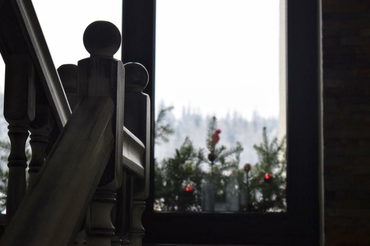 Vila Seva Vatra Dornei Buitenkant foto