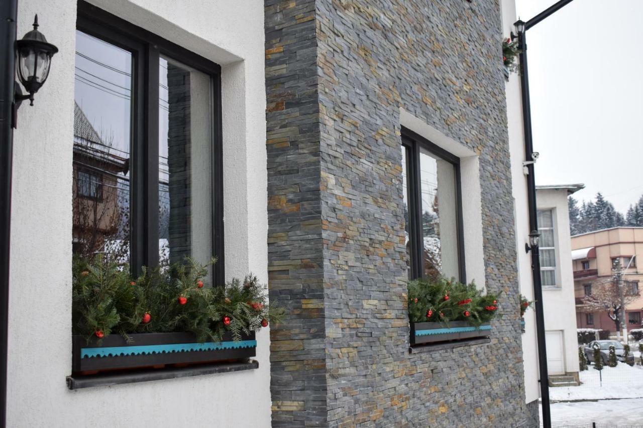 Vila Seva Vatra Dornei Buitenkant foto