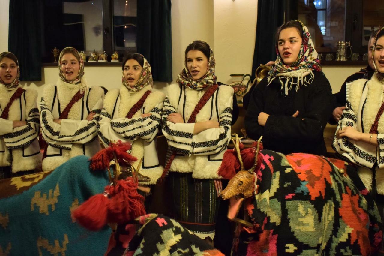 Vila Seva Vatra Dornei Buitenkant foto